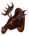arce.gif (4315 bytes)