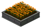 flores.gif (6033 bytes)