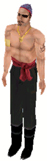 pirate.jpg (13560 bytes)