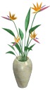 planta.gif (4002 bytes)
