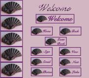 Hand Fan