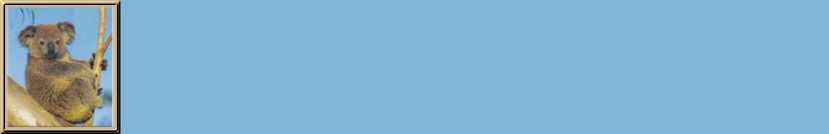 Koala Sitting Background
