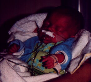 Zo lief...