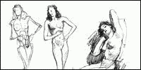 anatomy