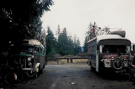 2_buses.JPG (50613 bytes)