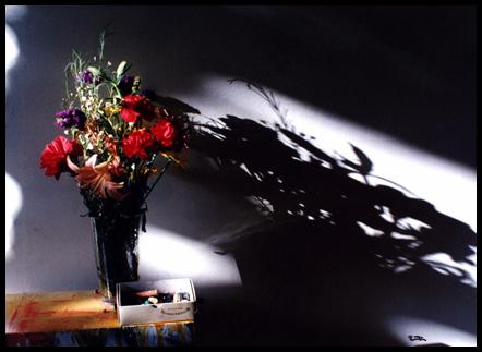 Flowers.JPG (49961 bytes)