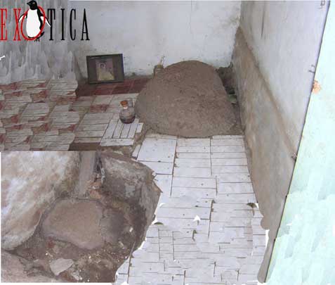  kisah misteri