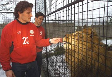 Ronald Waterreus voert de leeuw Mick, terwijl collega Patrick Lodewijks toekijkt.