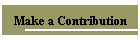 Make a Contribution