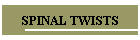 SPINAL TWISTS