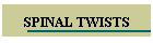 SPINAL TWISTS