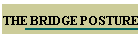 THE BRIDGE POSTURE