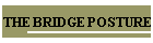 THE BRIDGE POSTURE