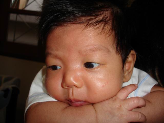 1.5 Month