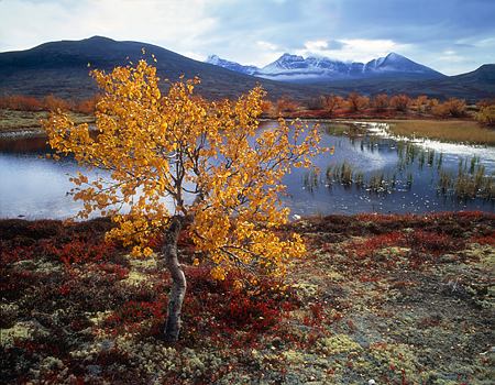 view of Rondane