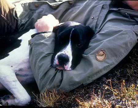 After the hunt...