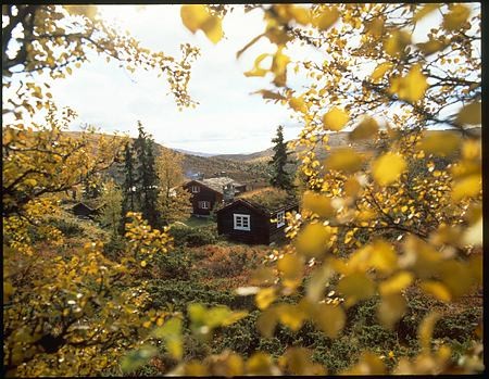 Autumn leaves with Berget in the background