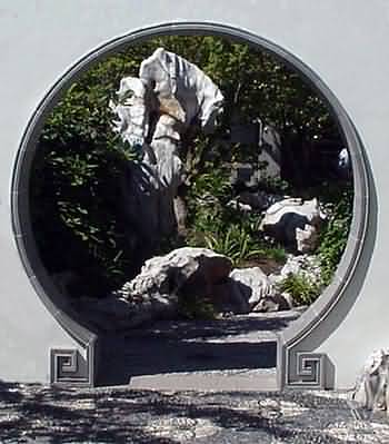 Framed view of garden