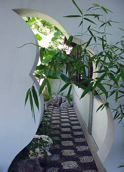 Framed view of garden