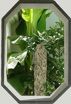 Framed view of garden