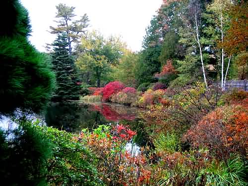 Fall Foliage