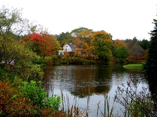 Fall Foliage