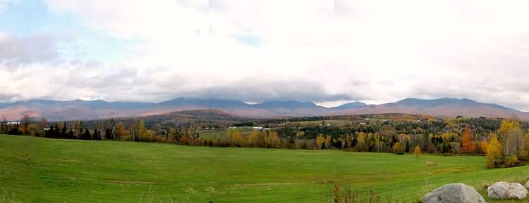 Fall Foliage