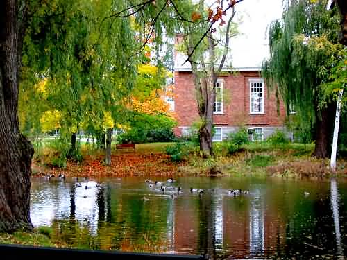 Fall Foliage - Vermont