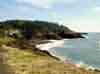 Little Whale Cove