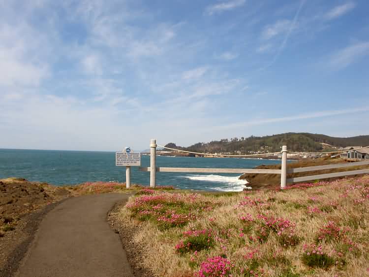 1135 Morning Walk, Little Whale Cove, Depoe Bay, Oregon