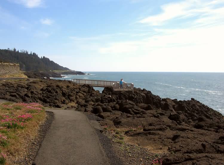 1135 Morning Walk, Little Whale Cove, Depoe Bay, Oregon