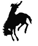 Cowboys Life Styles