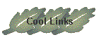 Cool Links