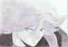 seijidraw.jpg (61926 bytes)