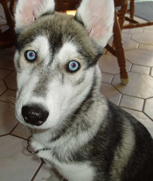 What, me worry?