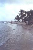 A nice stroll along the beach and get your feet wet... ahhh.... the good life....