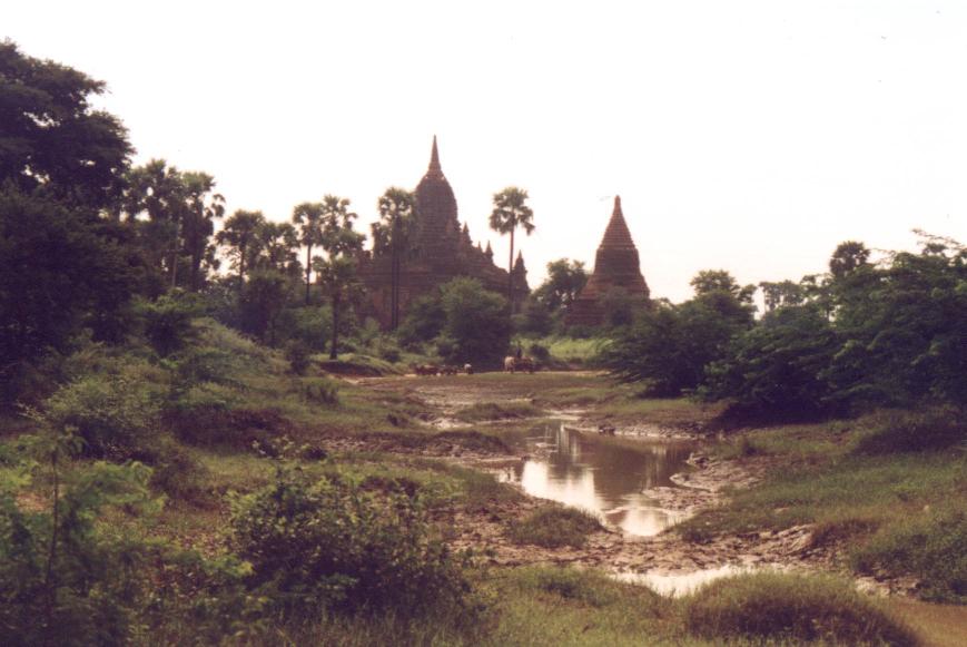 Bagan, ruins dooming up from the marshes...