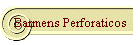 Barmens Perform�ticos