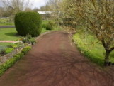 view of the garden