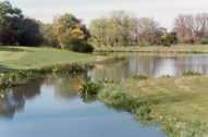 tea tree lake