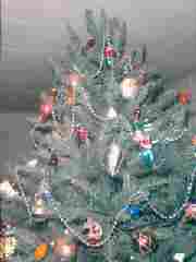 closetree.jpg (28337 bytes)