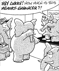 ELEPHANTS NEVER FORGET