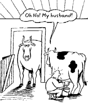 HA HA!