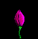 Purple Anim Flower