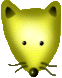 rat