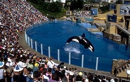 Sea World - San Diego