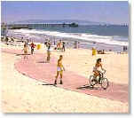 The bikepath at Venice Beach!