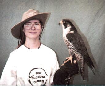 /user/peregrine2.jpg
