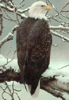 /user/picture4.jpg
