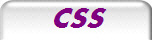 CSS